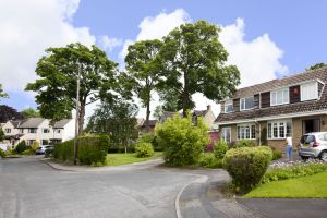 grange estate 2012 sm.jpg